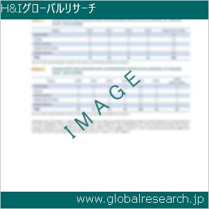 グローバルリサーチ調査レポートのイメージ